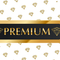 PREMIUM