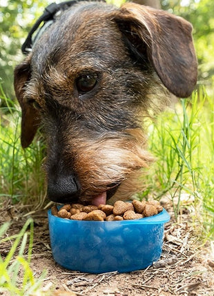 Pet Bottle 2 in 1 Bottle for Dogs - siopashop.ie