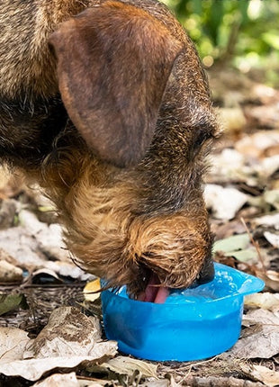 Pet Bottle 2 in 1 Bottle for Dogs - siopashop.ie